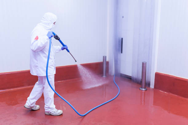 Best Spring Cleaning  in Lakeland Highlands, FL